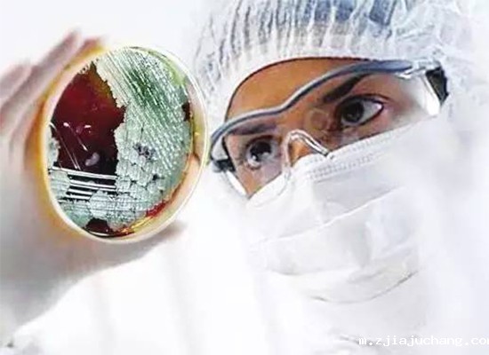 新冠疫情持续燃烧，更多医疗实验机构启用全自动菲尔特华体会