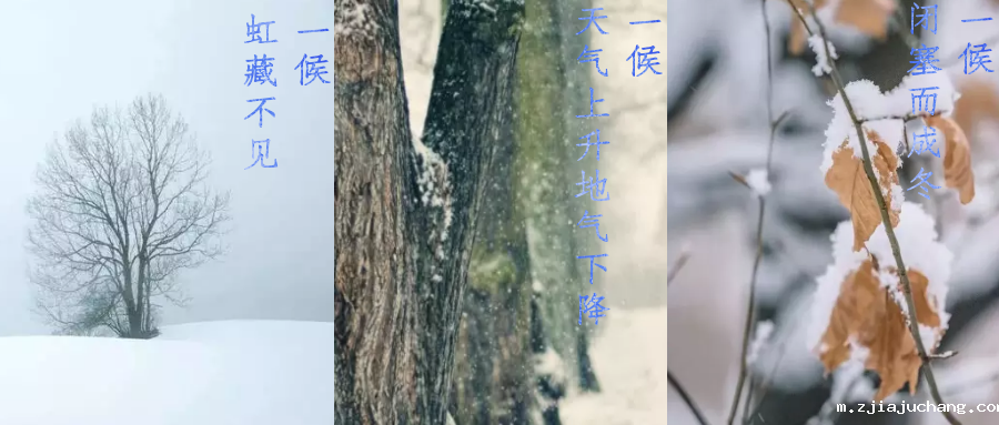 今日小雪，寒潮来袭，菲尔特华体会来帮你解放双手吧！