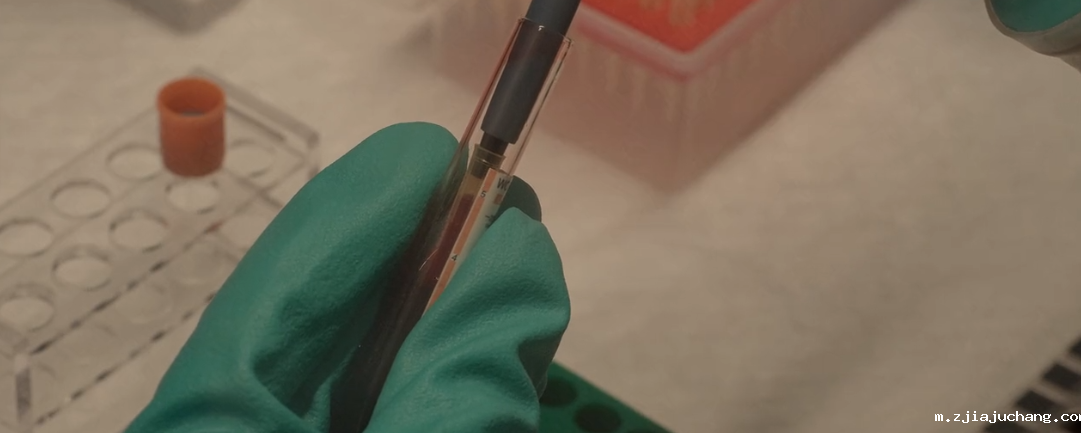 一起和喜瓶者菲尔特华体会看看什么是P4实验室