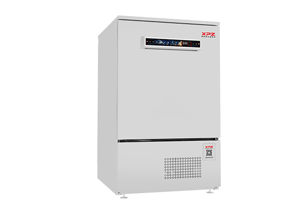 Aurora-3/F3 实验室菲尔特华体会